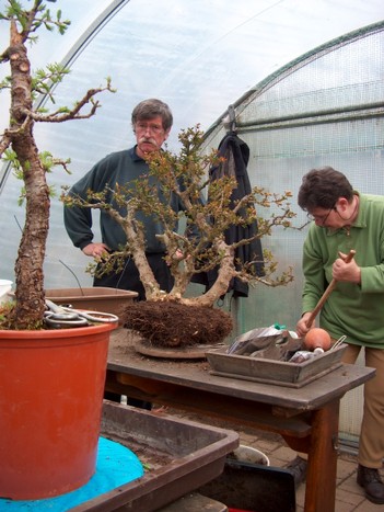 Aichtal03-09 - Bonsai Arboretum, Kusamono und Ikebana
